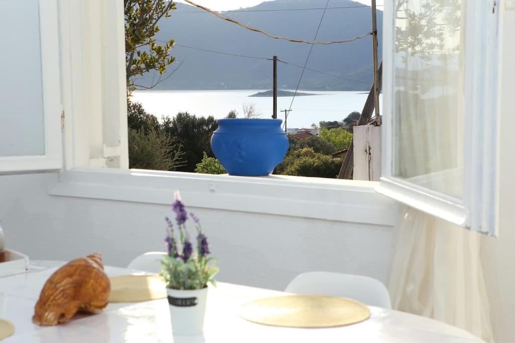 White Villa In Olive Trees And Seaview To Panagia Almiropótamos المظهر الخارجي الصورة