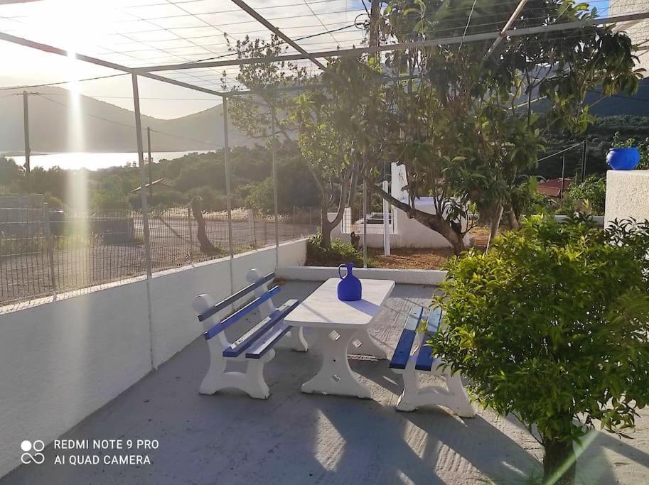 White Villa In Olive Trees And Seaview To Panagia Almiropótamos المظهر الخارجي الصورة
