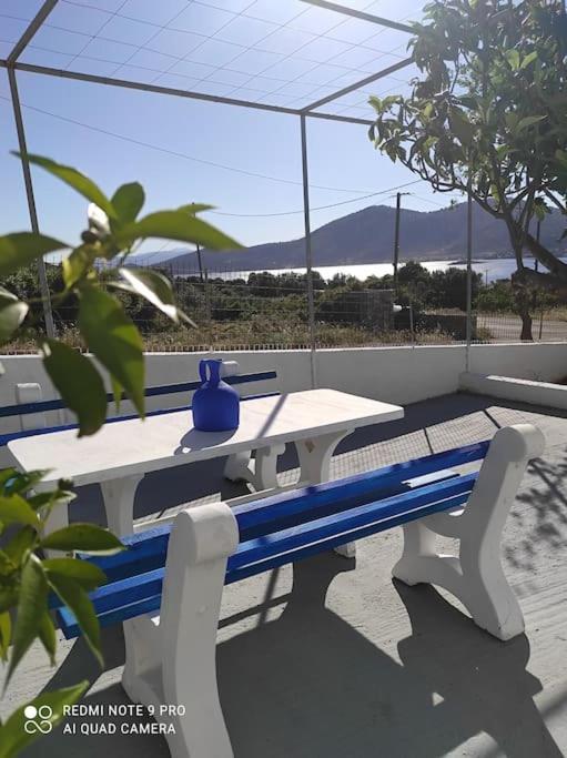 White Villa In Olive Trees And Seaview To Panagia Almiropótamos المظهر الخارجي الصورة