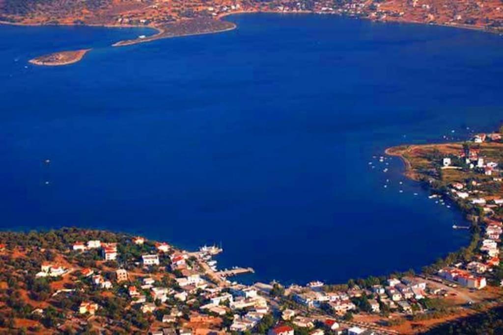 White Villa In Olive Trees And Seaview To Panagia Almiropótamos المظهر الخارجي الصورة