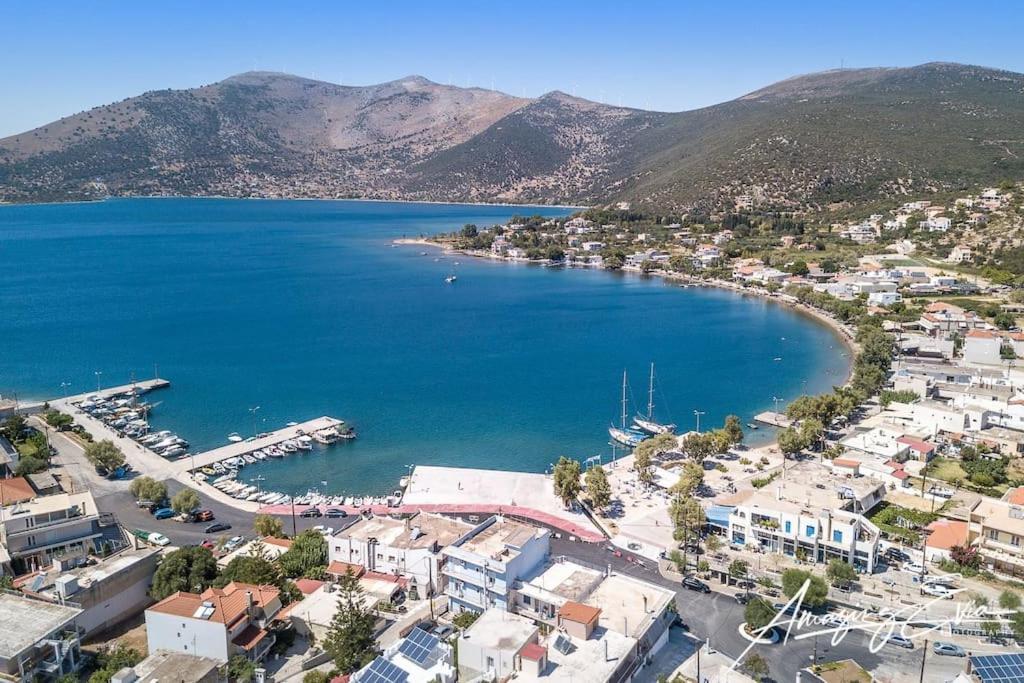 White Villa In Olive Trees And Seaview To Panagia Almiropótamos المظهر الخارجي الصورة
