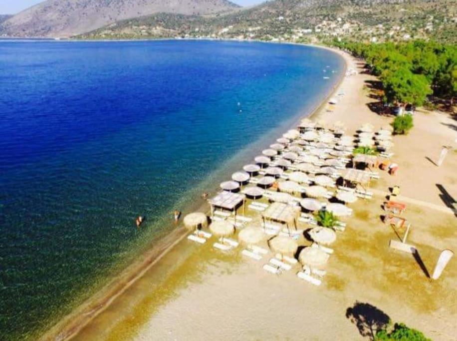 White Villa In Olive Trees And Seaview To Panagia Almiropótamos المظهر الخارجي الصورة