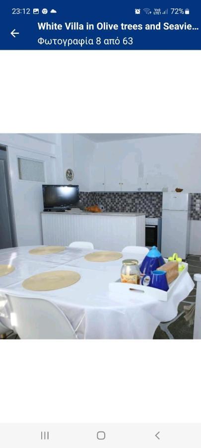 White Villa In Olive Trees And Seaview To Panagia Almiropótamos المظهر الخارجي الصورة
